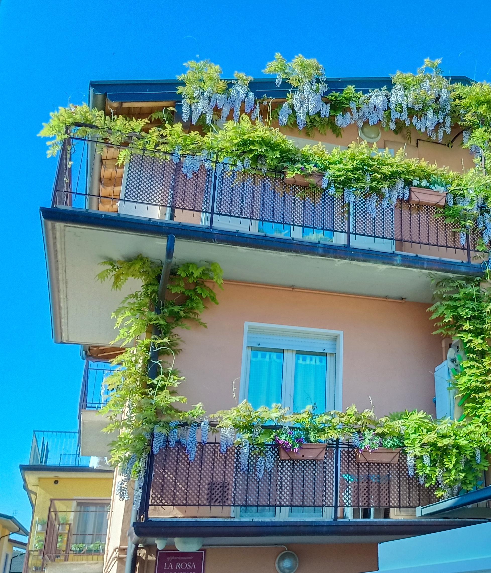 La Rosa Appartamento