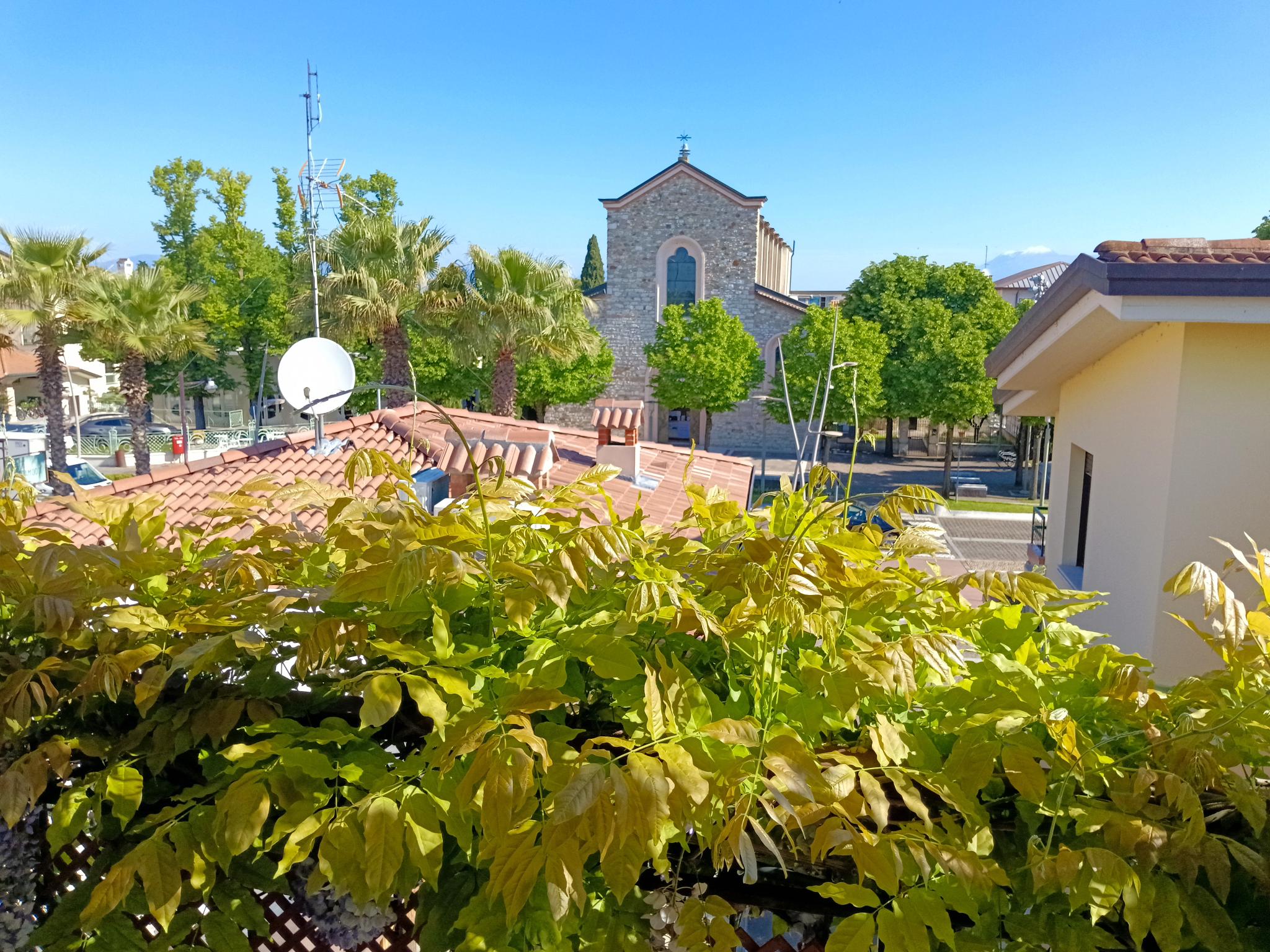 Vista